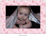 Bunny Toile Foldover Photo Card-whitney english, photo card, pink, holiday, baby